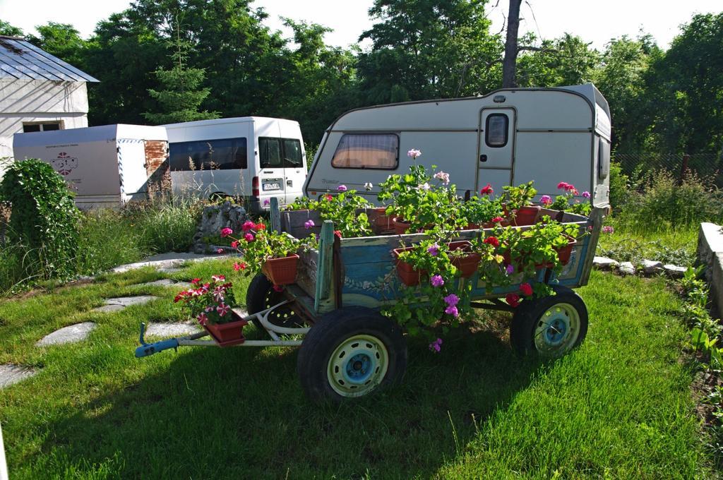 ホテル Camping Verila サパレヴァ・バニャ エクステリア 写真