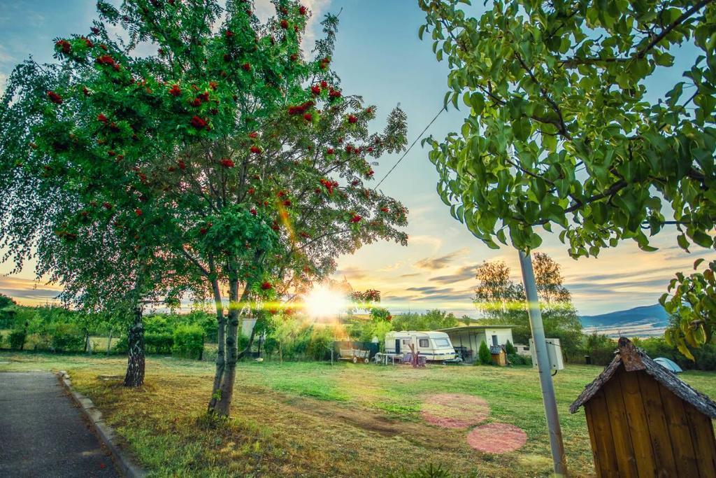 ホテル Camping Verila サパレヴァ・バニャ エクステリア 写真